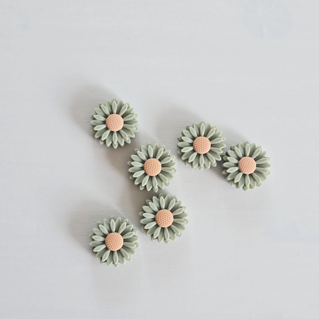 Marguerite Vert de gris